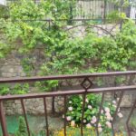 Трёхместный стандартный номер гостевого дома ЛенАрт