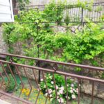 Трёхместный стандартный номер гостевого дома ЛенАрт
